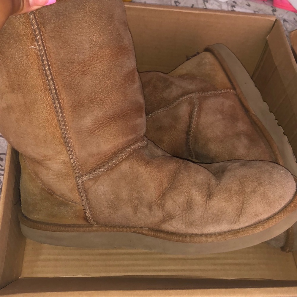 Ugg Chestnut